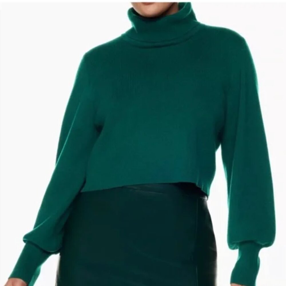 Aritizia Wilfred Rebecca Turtleneck (XS)